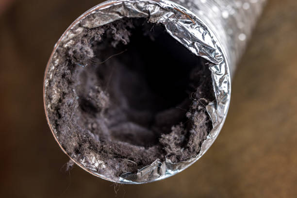 Best Local Air Duct Cleaning Services  in Winchester, CA