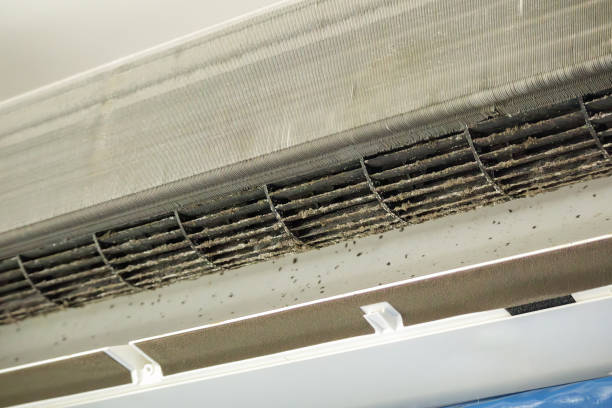 Best Air Duct Cleaning Near Me  in Winchester, CA